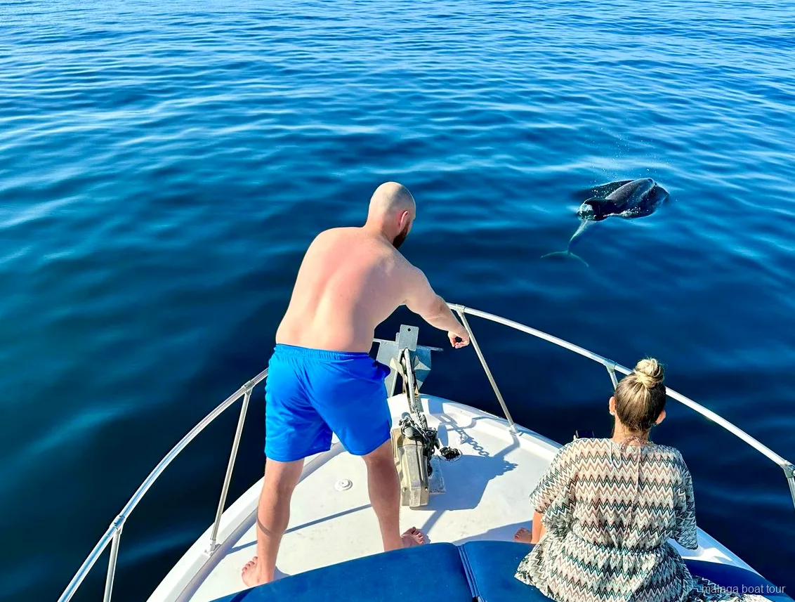 Delfín emergiendo junto a la proa de un barco con dos pasajeros en una excursión en barco por Málaga