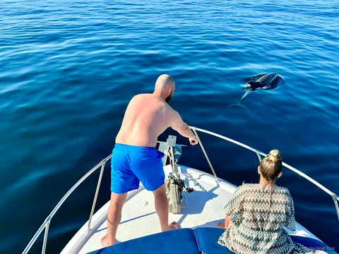 Golfinho a surgir junto à proa de um barco com dois passageiros num passeio de barco em Málaga