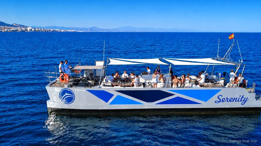 Catamaran à la recherche de dauphins pendant la croisière observation des dauphins à Malaga