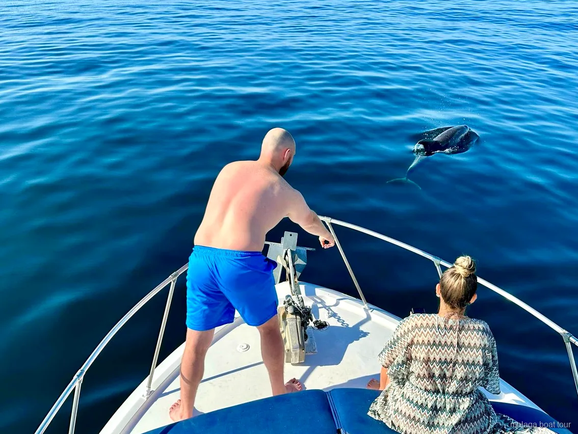 Delfin som dyker upp bredvid fören på en båt med två passagerare under en båttur i Malaga