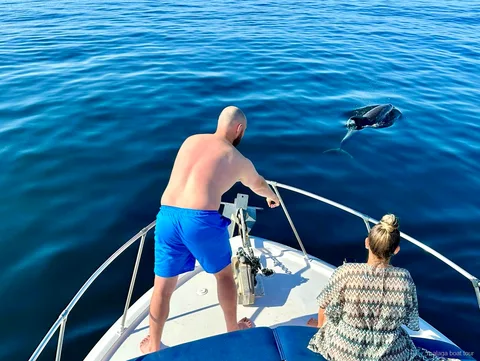 Delfino che emerge accanto alla prua di una barca con due passeggeri durante una gita in barca a Malaga