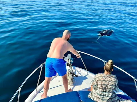 Dolfijn komt boven water naast de boeg van een boot met twee passagiers tijdens een boottocht Malaga