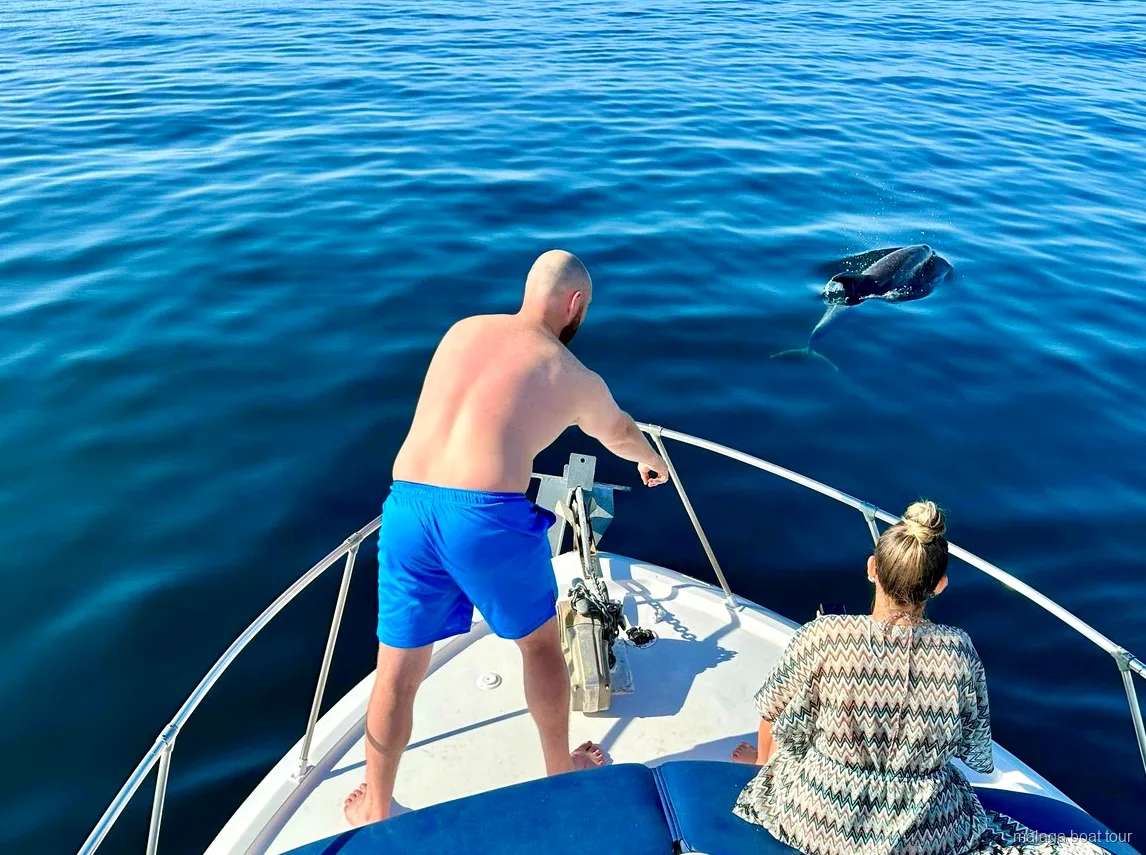 Dolfijn komt boven water naast de boeg van een boot met twee passagiers tijdens een boottocht Malaga
