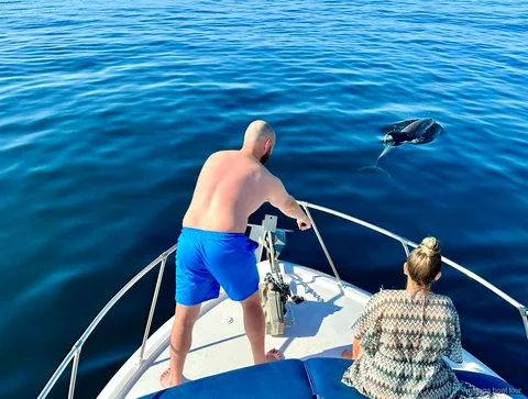Dofí emergint al costat de la proa d'un vaixell amb dos passatgers en una excursió en vaixell a Màlaga