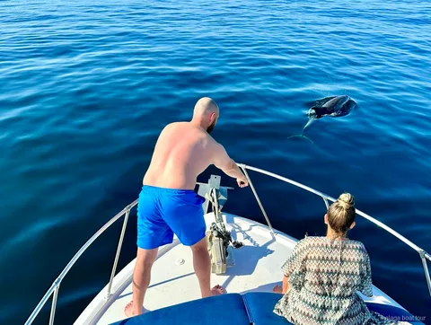 Dauphin qui émerge près de la proue d'un bateau avec deux passagers, excursion en bateau à Malaga