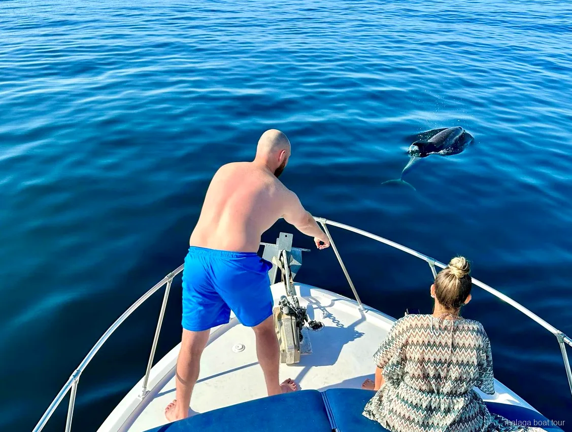 Dauphin qui émerge près de la proue d'un bateau avec deux passagers, excursion en bateau à Malaga
