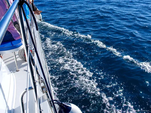 Sillage d'écume le long de la coque d'un catamaran sur l'eau bleue pendant un malaga boat tour
