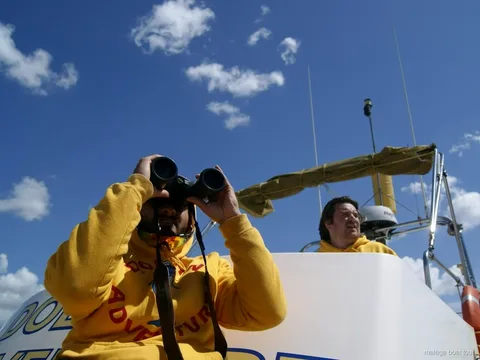 Membro dell'equipaggio con felpa gialla che osserva con il binocolo sotto un cielo azzurro, gita in barca a Malaga