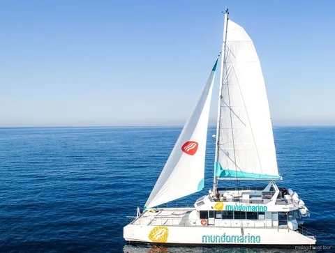 Sailing catamaran with white sails on a calm open sea during a Malaga boat tour