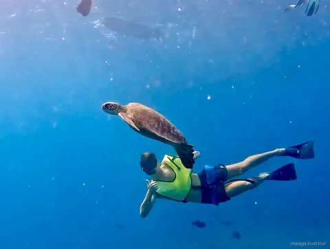 Snorkeler swimming beside a sea turtle in clear blue water on a Malaga boat tour with snorkeling