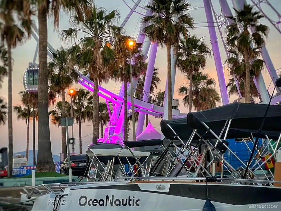 Moored boats at dusk beside palm trees and a lit Ferris wheel in the port before a Malaga boat tour