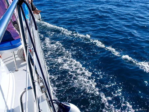 Estela de espuma junto al casco de un catamarán sobre agua azul en un malaga boat tour
