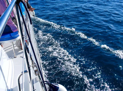 Rasto de espuma junto ao casco de um catamarã em água azul durante um malaga boat tour